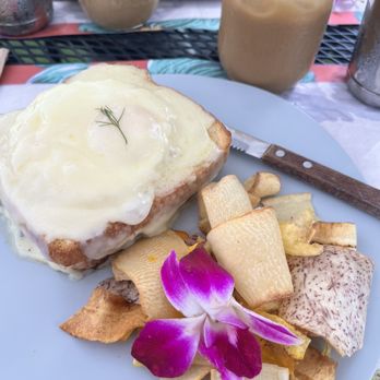 Bulegreen Cafe Yard - Cafes Near Me - Oakland Park, Florida Bulegreen Cafe Yard - Cafes Near Me - Oakland Park, Florida
