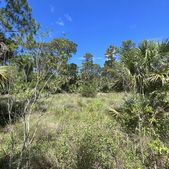 Pine Jog Environmental Education Center - Hiking Near Me - West Palm Beach, Florida Pine Jog Environmental Education Center - Hiking Near Me - West Palm Beach, Florida