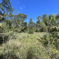 Pine Jog Environmental Education Center