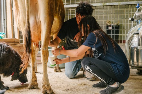 Sovereignty Ranch by null