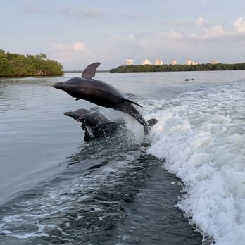 Good Time Charters - Jumping Dolphins - Fishing Near Me - Fort Myers Beach, Florida Good Time Charters - Jumping Dolphins - Fishing Near Me - Fort Myers Beach, Florida