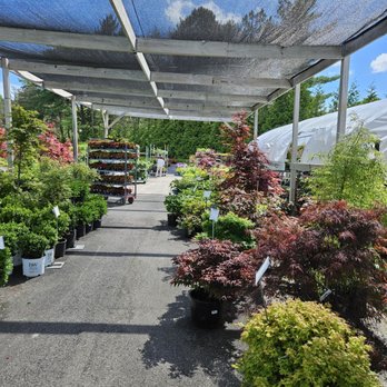 Faddegon's Nursery - Spring 2025 is here! - Nurseries & Gardening Near Me - Latham, New York