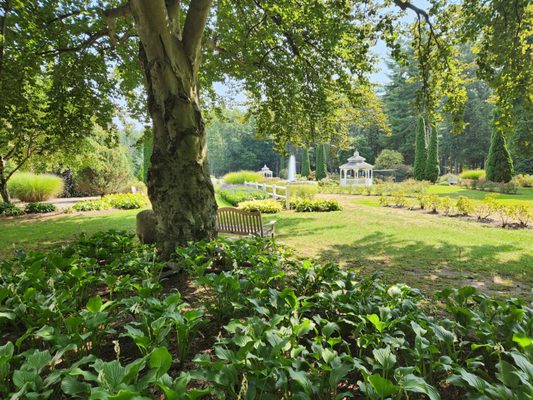 Stanley Park by null