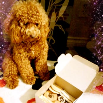 Three Dog Bakery - Pet Stores Near Me - Vancouver, British Columbia