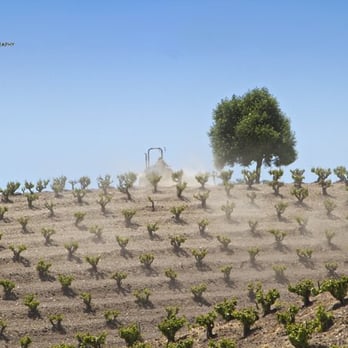 The Wine Line - SusanSchmitz.com - Wine Tours Near Me The Wine Line - SusanSchmitz.com - Wine Tours Near Me