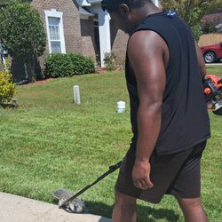Dynasty Cleaning Services