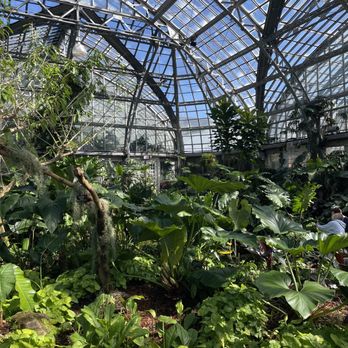 Garfield Park Conservatory - Aroid house - Parks Near Me - Chicago, Illinois