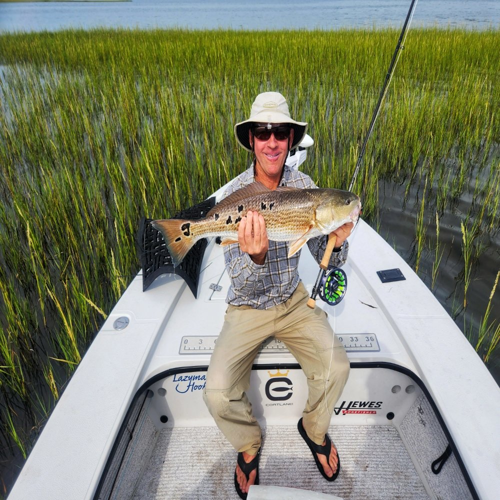 Carolina Traditions Guide