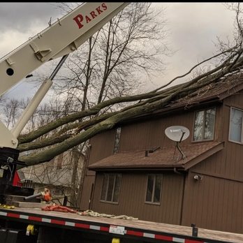 Parks Tree West - Storm work - Tree Services Near Me - Westlake, Ohio Parks Tree West - Storm work - Tree Services Near Me - Westlake, Ohio