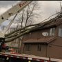 Photo of Parks Tree West