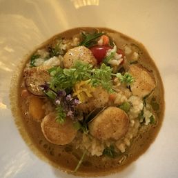 Scallops Scallops