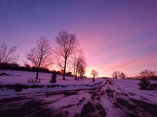 Rutgers Creek Pet Resort