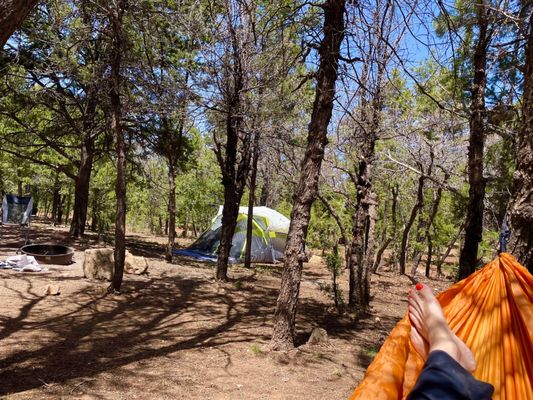 Mather Campground by null