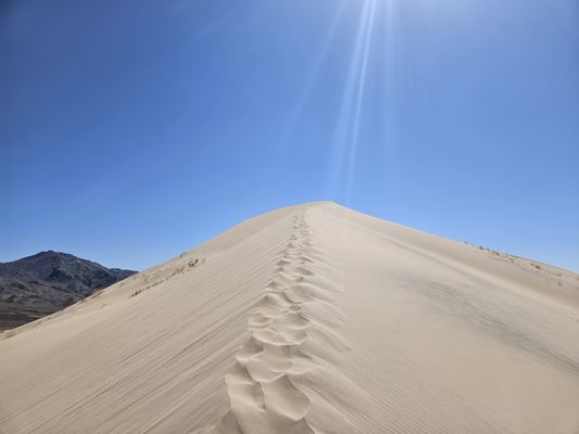 Mojave National Preserve by null