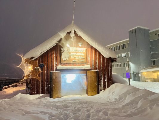 The Polar Museum by null