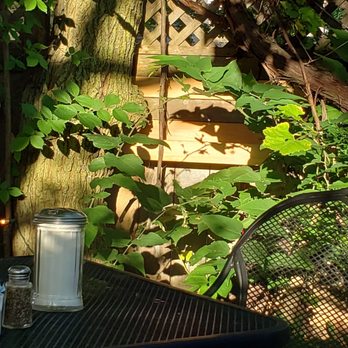 Tre Kronor - A beautiful Saturday morning. Sunshine. Birds. Fantastic garden. - Breakfast & Brunch Near Me - Chicago, Illinois Tre Kronor - A beautiful Saturday morning. Sunshine. Birds. Fantastic garden. - Breakfast & Brunch Near Me - Chicago, Illinois