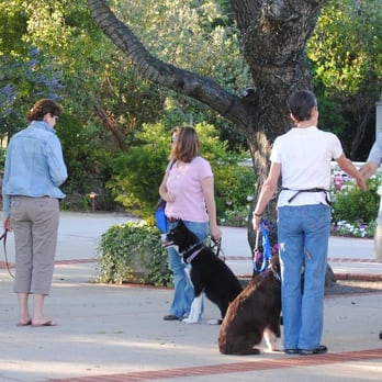 Dog Days - Group classes are held Mon eve's & Sat. am's. Private lessons available, too. Come join us! - Pet Training Near Me