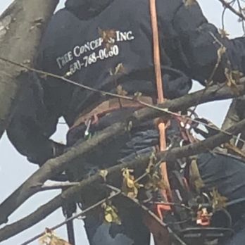 Tree Concepts - Tree Services Near Me