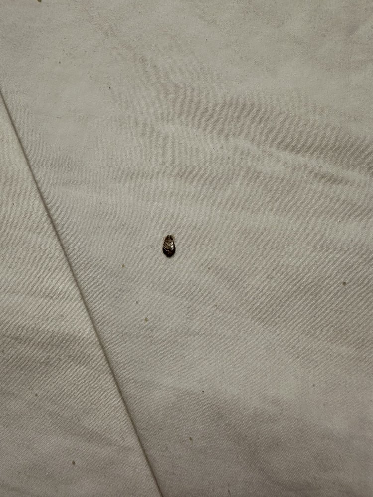 Hampton Inn Havelock