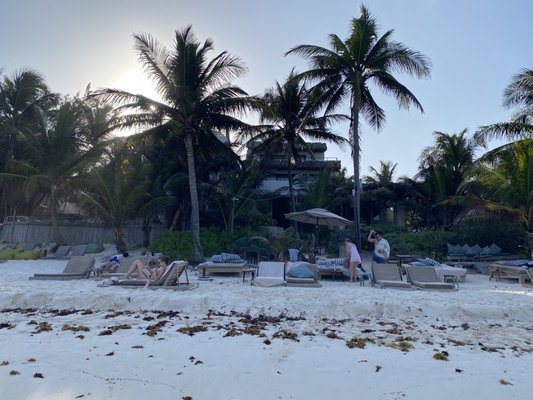 Chiringuito Tulum Hotel by null