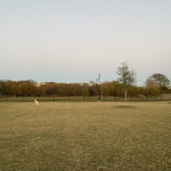 Wood Family Dog Park