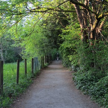 Deer Lake Park - Parks Near Me - Burnaby, British Columbia Deer Lake Park - Parks Near Me - Burnaby, British Columbia