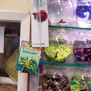 Superway Aquarium - Local Fish Stores Near Me - Hayward, California Superway Aquarium - Local Fish Stores Near Me - Hayward, California