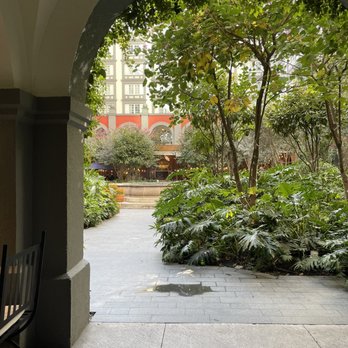 Zanaya - Mexican Near Me - Ciudad de México, DIF