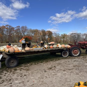 Cucumber Hill Farm - Farms Near Me - Foster, Rhode Island