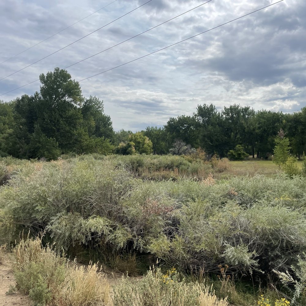 Chatfield State Park - Parks Near Me - Littleton, Colorado