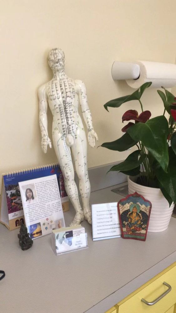 WANG ACUPUNCTURE Updated October 2024 18 Photos 2 Osborn St