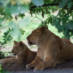 Tierpark