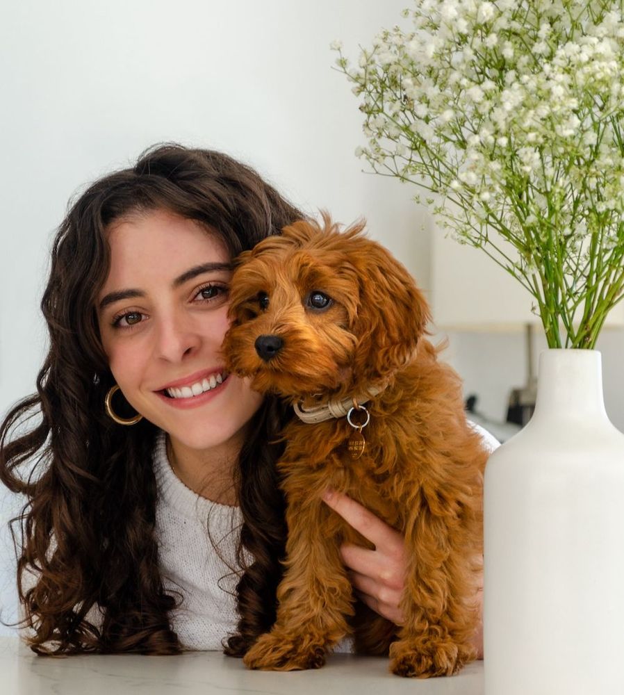 Emily Poodles - pet boarding facility in Houston, TX