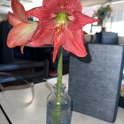 Aegean Restaurant - Table Decoration