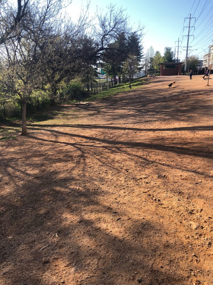 PETSAFE DOWNTOWN DOG PARK 10 Reviews 200 S Central St, Knoxville