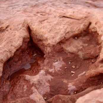 Dinosaur Tracks - Dinosaur Tracks Tuba City, AZ - Landmarks & Historical Buildings Near Me - Tuba City, Arizona