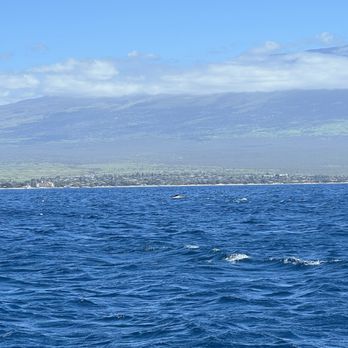 Maui Reef Adventures - Snorkeling Near Me - Ma'alaea, Hawaii Maui Reef Adventures - Snorkeling Near Me - Ma'alaea, Hawaii