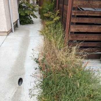 Cintas Landscape Service - Landscaping Near Me