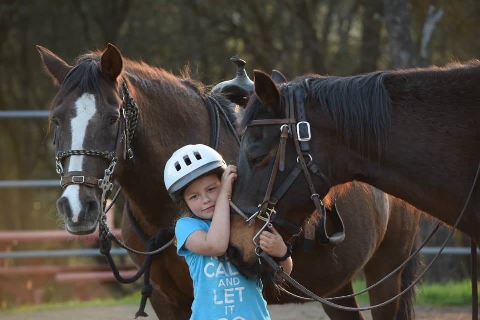 Shawna Dahl Quarter Horses & Horsemanship Logo