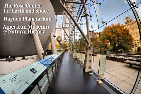 American Museum of Natural History by null