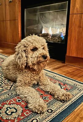 Inn On Columbia by null