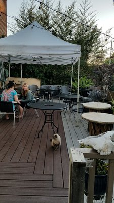 El Patio by null