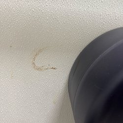 Subway - Poop on the bathroom wall