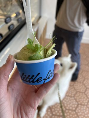 Little Fox Cups + Cones by null