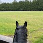 Photo of Topline Equestrian Centre