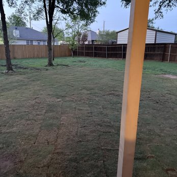 Cheaper Than Dirt - Nurseries & Gardening Near Me - Belton, Texas