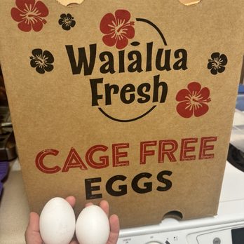 WAIALUA FRESH EGG FARM - Updated May 2025 - 48 Photos & 40 Reviews - 65