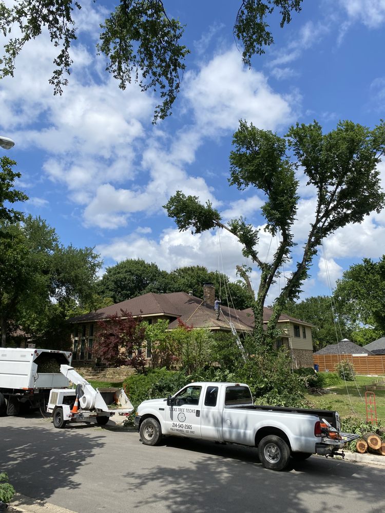 Texas Tree Techs - tree service in Dallas, TX