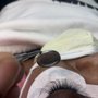 Photo of Glitzy Lash Extensions