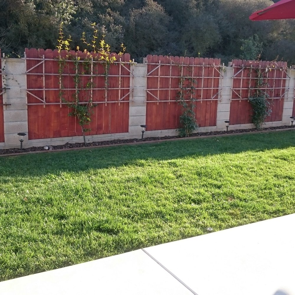 Ingram Landscapes - Landscaping Near Me - San Diego, California Ingram Landscapes - Landscaping Near Me - San Diego, California